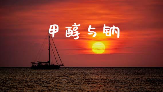 甲醇与钠 (https://huagong.lansai.wang/) 甲醇 第1张