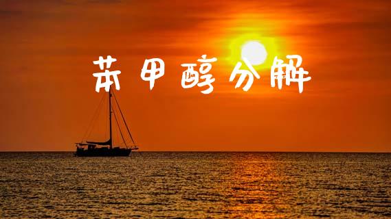 苯甲醇分解 (https://huagong.lansai.wang/) 甲醇 第1张