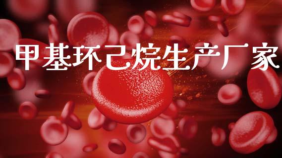 甲基环己烷生产厂家 (https://huagong.lansai.wang/) 甲基化工 第1张