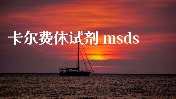 卡尔费休试剂 msds (https://huagong.lansai.wang/) msds 第1张