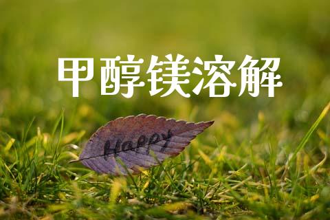 甲醇镁溶解 (https://huagong.lansai.wang/) 甲醇 第1张