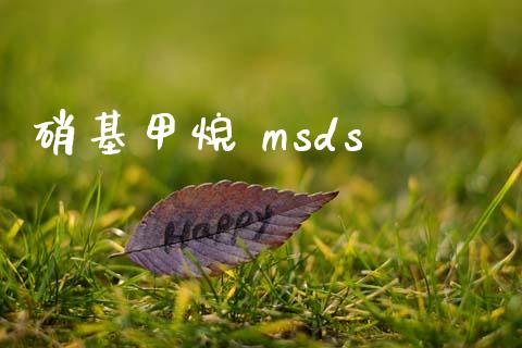 硝基甲烷 msds msds 第1张-化工行情,甲基化工,甲醇msds-起点化工网 硝基甲烷 msds (https://huagong.lansai.wang/) msds 第1张