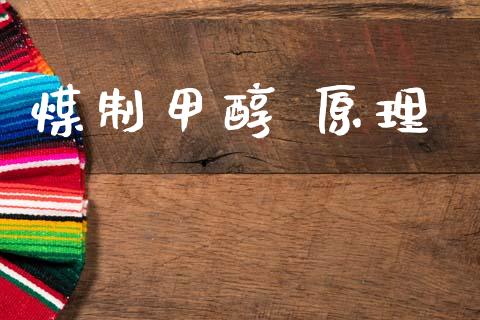 煤制甲醇 原理 (https://huagong.lansai.wang/) 甲醇 第1张