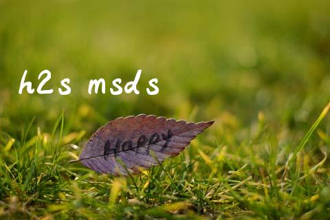 h2s msds (https://huagong.lansai.wang/) msds 第1张