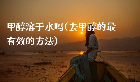 甲醇溶于水吗(去甲醇的最有效的方法) (https://huagong.lansai.wang/) 甲醇 第1张