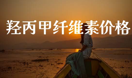 羟丙甲纤维素价格 (https://huagong.lansai.wang/) 化工价格 第1张