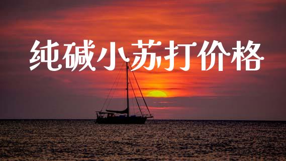 纯碱小苏打价格 (https://huagong.lansai.wang/) 化工价格 第1张