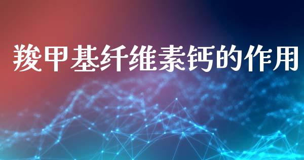 羧甲基纤维素钙的作用 (https://huagong.lansai.wang/) 甲基化工 第1张