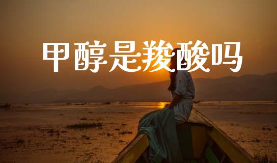 甲醇是羧酸吗 (https://huagong.lansai.wang/) 甲醇 第1张