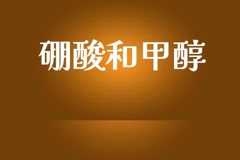 硼酸和甲醇 (https://huagong.lansai.wang/) 甲醇 第1张