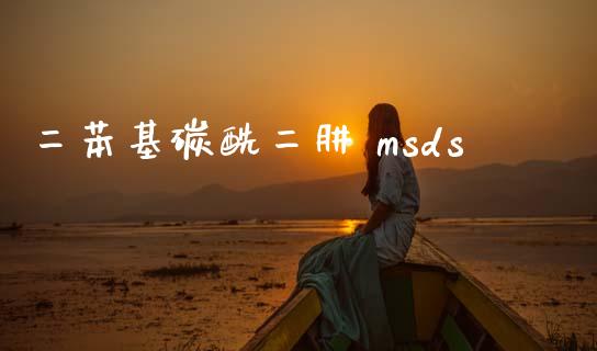 二苯基碳酰二肼 msds (https://huagong.lansai.wang/) msds 第1张