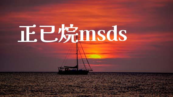 正已烷msds (https://huagong.lansai.wang/) msds 第1张