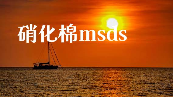 硝化棉msds (https://huagong.lansai.wang/) msds 第1张