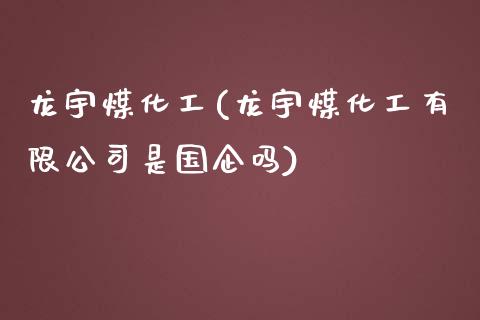 龙宇煤化工(龙宇煤化工有限公司是国企吗) (https://huagong.lansai.wang/) 化工行情 第1张