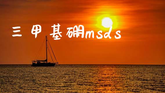 三甲基硼msds (https://huagong.lansai.wang/) msds 第1张