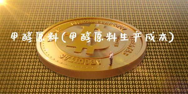 甲醇原料(甲醇原料生产成本) (https://huagong.lansai.wang/) 甲醇 第1张