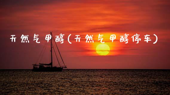 天然气甲醇(天然气甲醇停车) (https://huagong.lansai.wang/) 甲醇 第1张