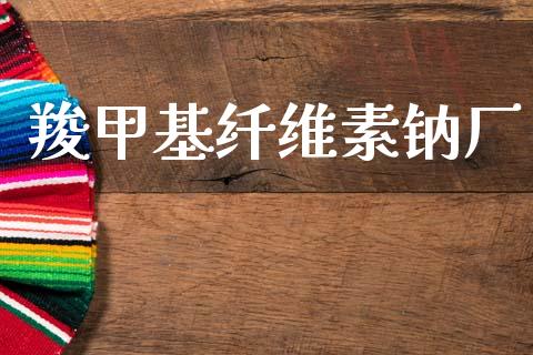 羧甲基纤维素钠厂 (https://huagong.lansai.wang/) 甲基化工 第1张