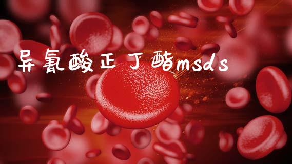 异氰酸正丁酯msds (https://huagong.lansai.wang/) msds 第1张