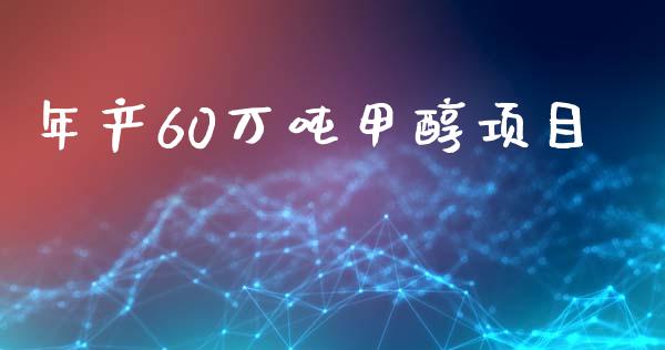 年产60万吨甲醇项目 (https://huagong.lansai.wang/) 甲醇 第1张