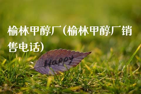 榆林甲醇厂(榆林甲醇厂销售电话) 甲醇 第1张-化工行情,甲基化工,甲醇msds-起点化工网 榆林甲醇厂(榆林甲醇厂销售电话) (https://huagong.lansai.wang/) 甲醇 第1张