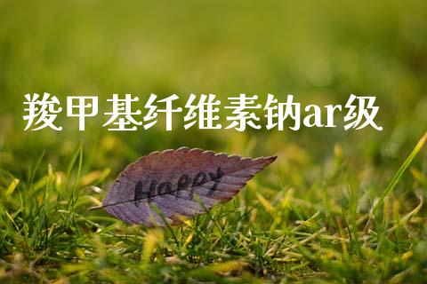 羧甲基纤维素钠ar级 (https://huagong.lansai.wang/) 甲基化工 第1张