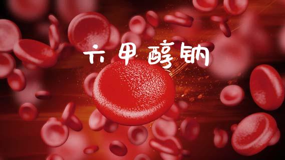 六甲醇钠 (https://huagong.lansai.wang/) 甲醇 第1张