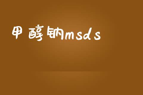 甲醇钠msds (https://huagong.lansai.wang/) 甲醇 第1张