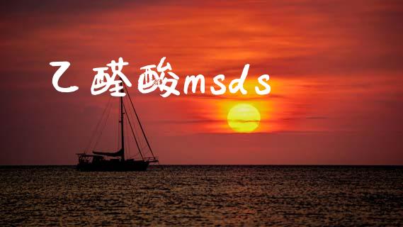 乙醛酸msds (https://huagong.lansai.wang/) msds 第1张