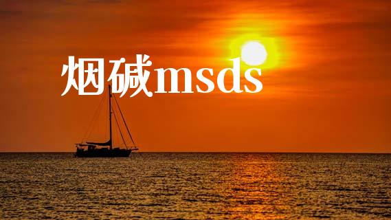 烟碱msds (https://huagong.lansai.wang/) msds 第1张