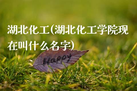 湖北化工(湖北化工学院现在叫什么名字) (https://huagong.lansai.wang/) 化工行情 第1张