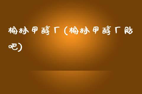 榆林甲醇厂(榆林甲醇厂贴吧) (https://huagong.lansai.wang/) 甲醇 第1张