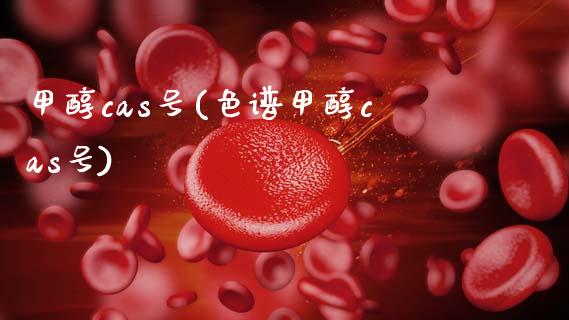 甲醇cas号(色谱甲醇cas号) (https://huagong.lansai.wang/) 甲醇 第1张