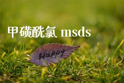 甲磺酰氯 msds (https://huagong.lansai.wang/) msds 第1张