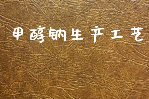 甲醇钠生产工艺 (https://huagong.lansai.wang/) 甲醇 第1张