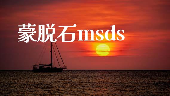 蒙脱石msds (https://huagong.lansai.wang/) msds 第1张