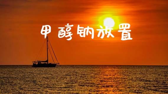 甲醇钠放置 (https://huagong.lansai.wang/) 甲醇 第1张