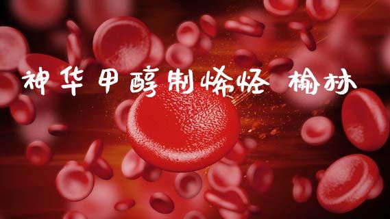 神华甲醇制烯烃 榆林 (https://huagong.lansai.wang/) 甲醇 第1张