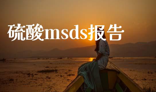 硫酸msds报告 (https://huagong.lansai.wang/) msds 第1张