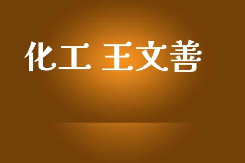 化工 王文善 (https://huagong.lansai.wang/) 化工行情 第1张