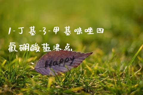 1-丁基-3-甲基咪唑四氟硼酸盐沸点 (https://huagong.lansai.wang/) 甲基化工 第1张