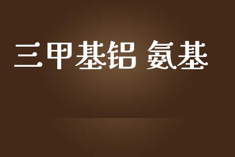 三甲基铝 氨基 (https://huagong.lansai.wang/) 甲基化工 第1张