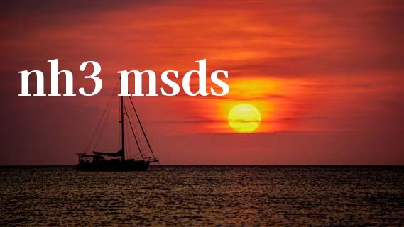 nh3 msds (https://huagong.lansai.wang/) msds 第1张