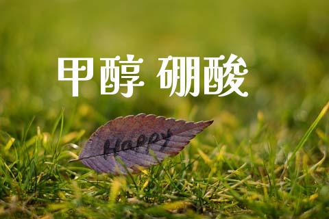 甲醇 硼酸 (https://huagong.lansai.wang/) 甲醇 第1张