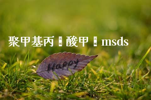 聚甲基丙烯酸甲酯msds (https://huagong.lansai.wang/) msds 第1张