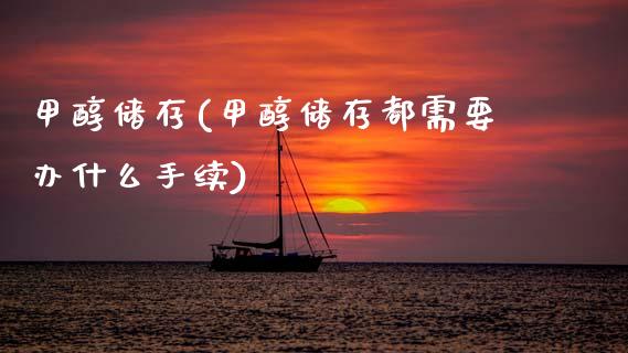 甲醇储存(甲醇储存都需要办什么手续) (https://huagong.lansai.wang/) 甲醇 第1张