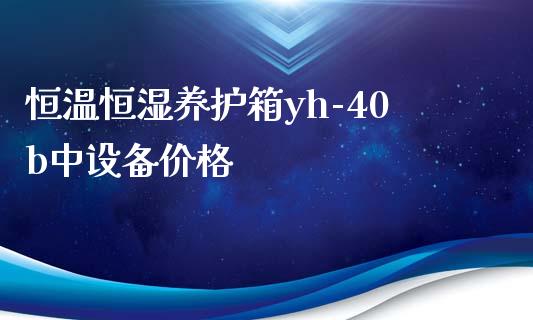 恒温恒湿养护箱yh-40b中设备价格 (https://huagong.lansai.wang/) 化工价格 第1张