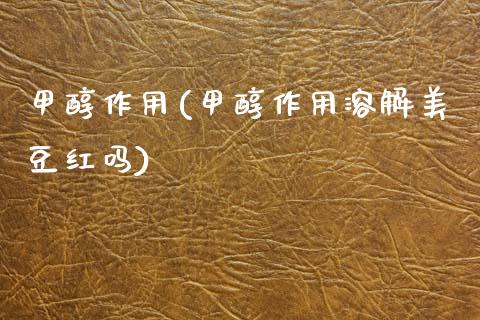 甲醇作用(甲醇作用溶解美豆红吗) (https://huagong.lansai.wang/) 甲醇 第1张