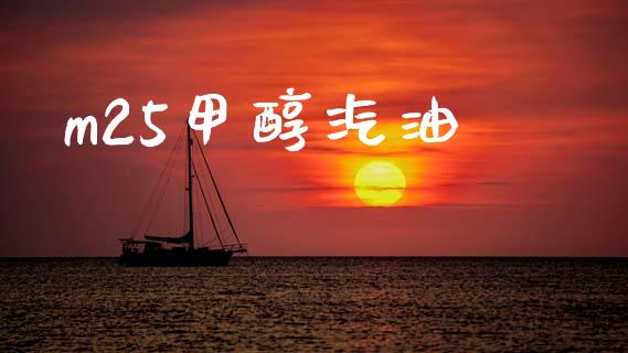 m25甲醇汽油 (https://huagong.lansai.wang/) 甲醇 第1张