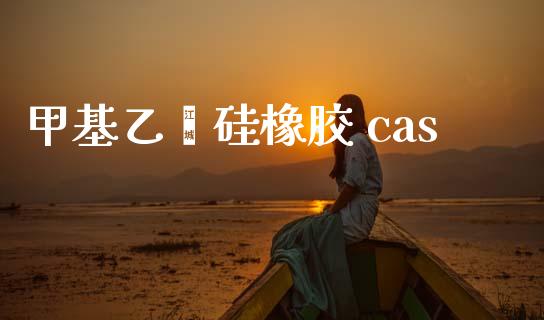 甲基乙烯硅橡胶 cas (https://huagong.lansai.wang/) 甲基化工 第1张